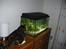 mine akvarier - misse-tv