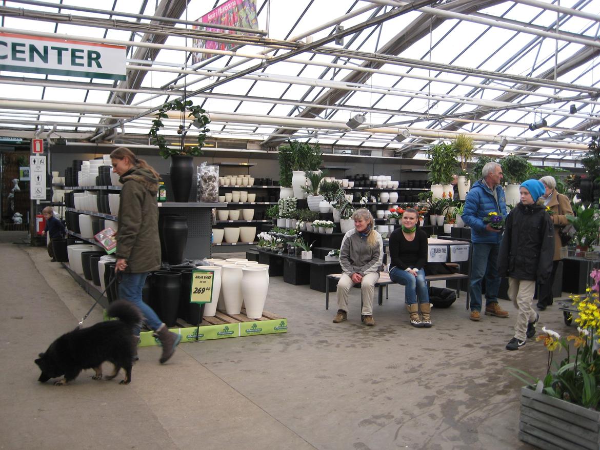 Dyrenes dag i Plantorama i Egå d. 12 feb 2012 billede 17