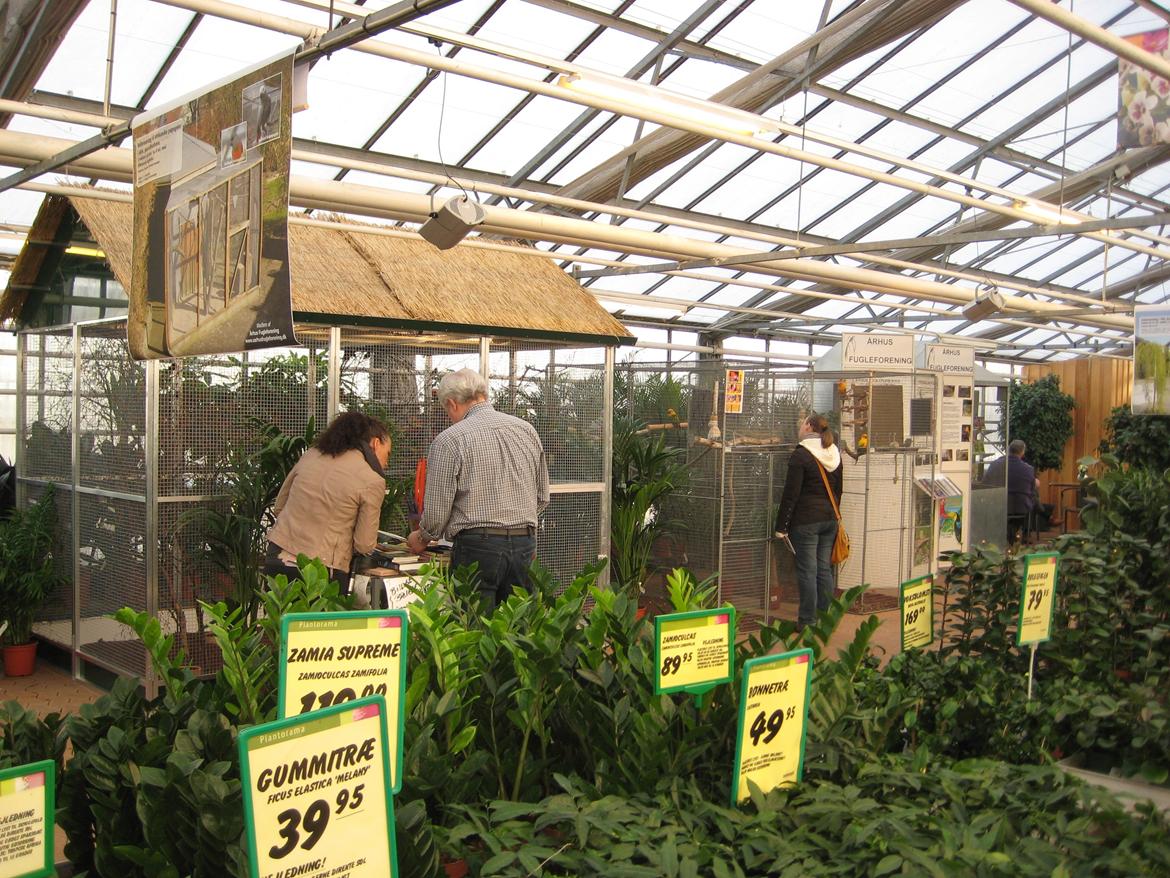 Dyrenes dag i Plantorama i Egå d. 12 feb 2012 billede 49