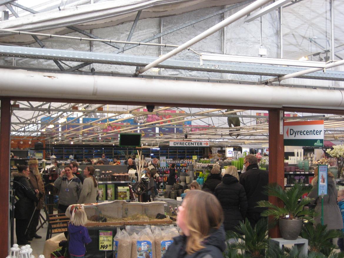 Dyrenes dag i Plantorama i Egå d. 12 feb 2012 billede 66