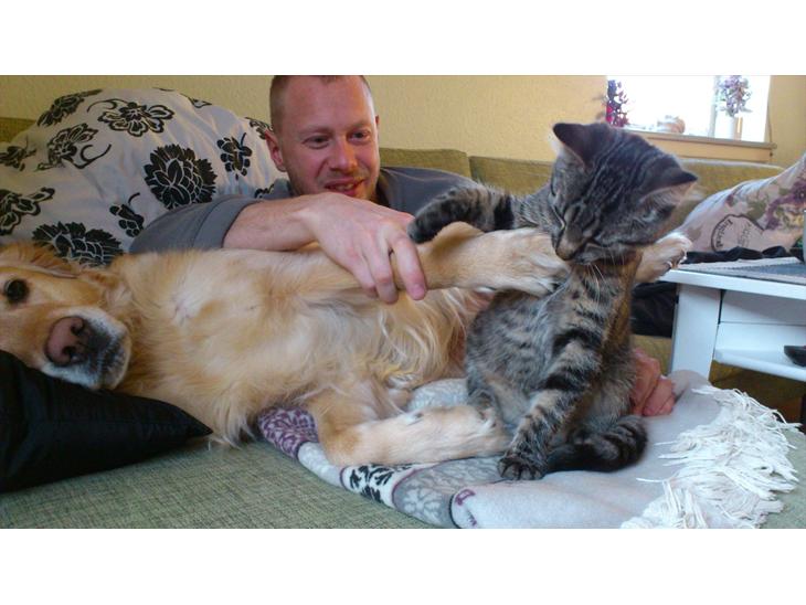 {{currentPhoto.altText}} billede {{currentPhoto.number}}