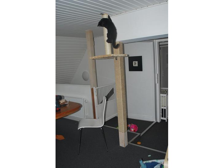 {{currentPhoto.altText}} billede {{currentPhoto.number}}