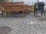 Vildbamsen 2011/2012