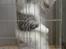Fredericia d. 31/03-2012