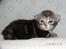 DK Nobel-dream´s A Jump ~F-Kuldet~ - Frigg 14 dage