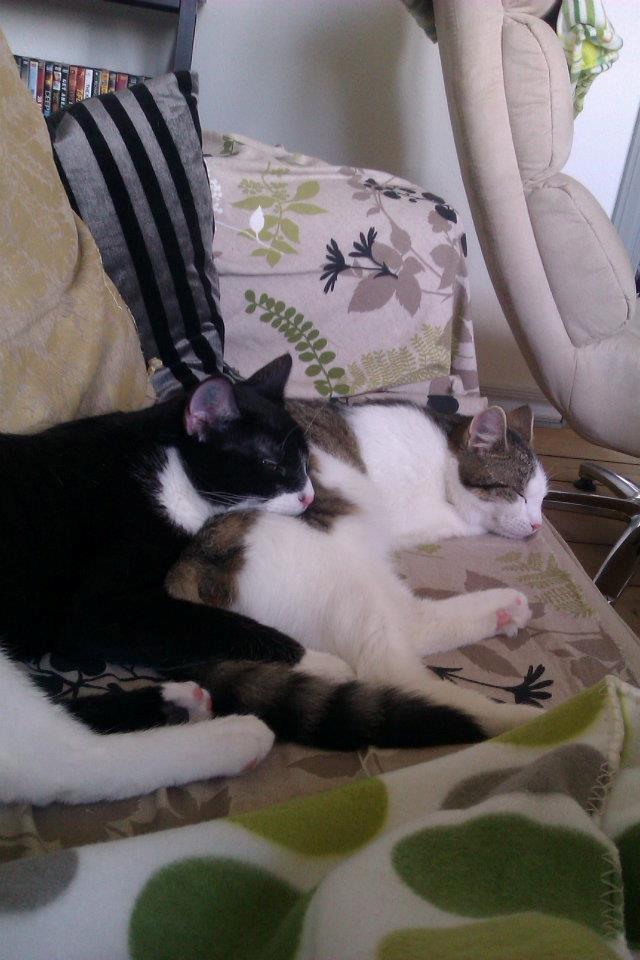 Best friends !  billede 2
