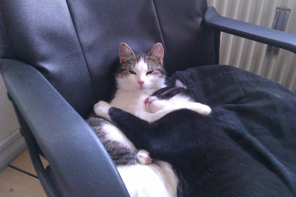 Best friends !  billede 6