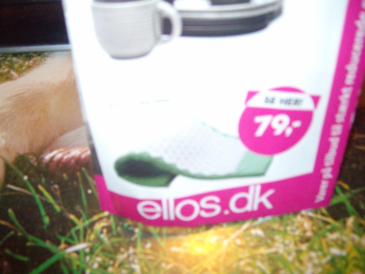 Vintergækker og Anemoner  - sømmåtte  billede 1