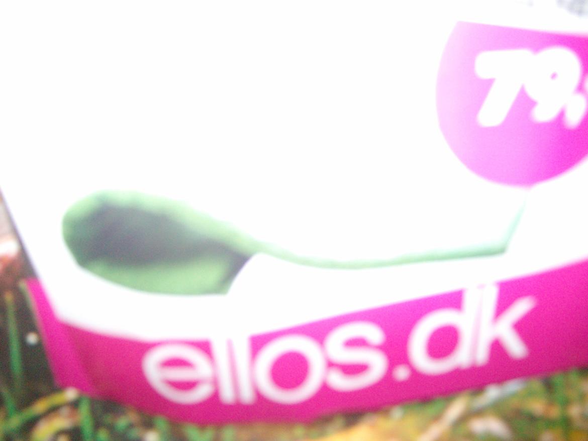 Vintergækker og Anemoner  billede 99