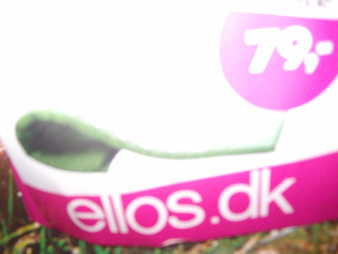 Vintergækker og Anemoner  billede 100