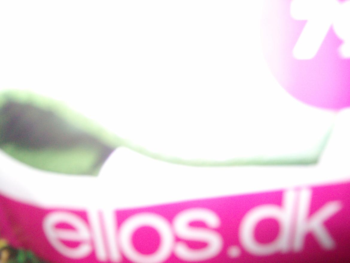 Vintergækker og Anemoner  billede 101