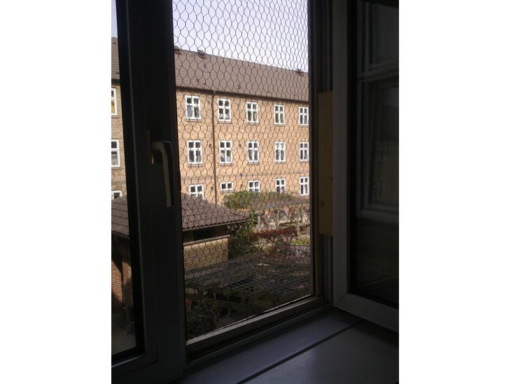 Vindues sikring billede 0