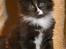 DK Nobel-dream´s A Jump ~F-Kuldet~ - Fabian d. 6-5-2012 <3