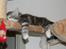 DK Nobel-dream´s A Jump ~F-Kuldet~ - Ren afslapning <3