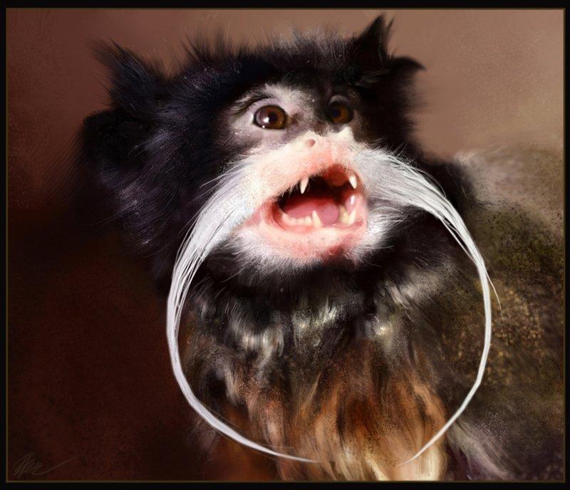 Mine dyretegninger - En kejsertamarin. Jeg faldt lidt for skægget. Tegnet i Photoshop elements 02. billede 8