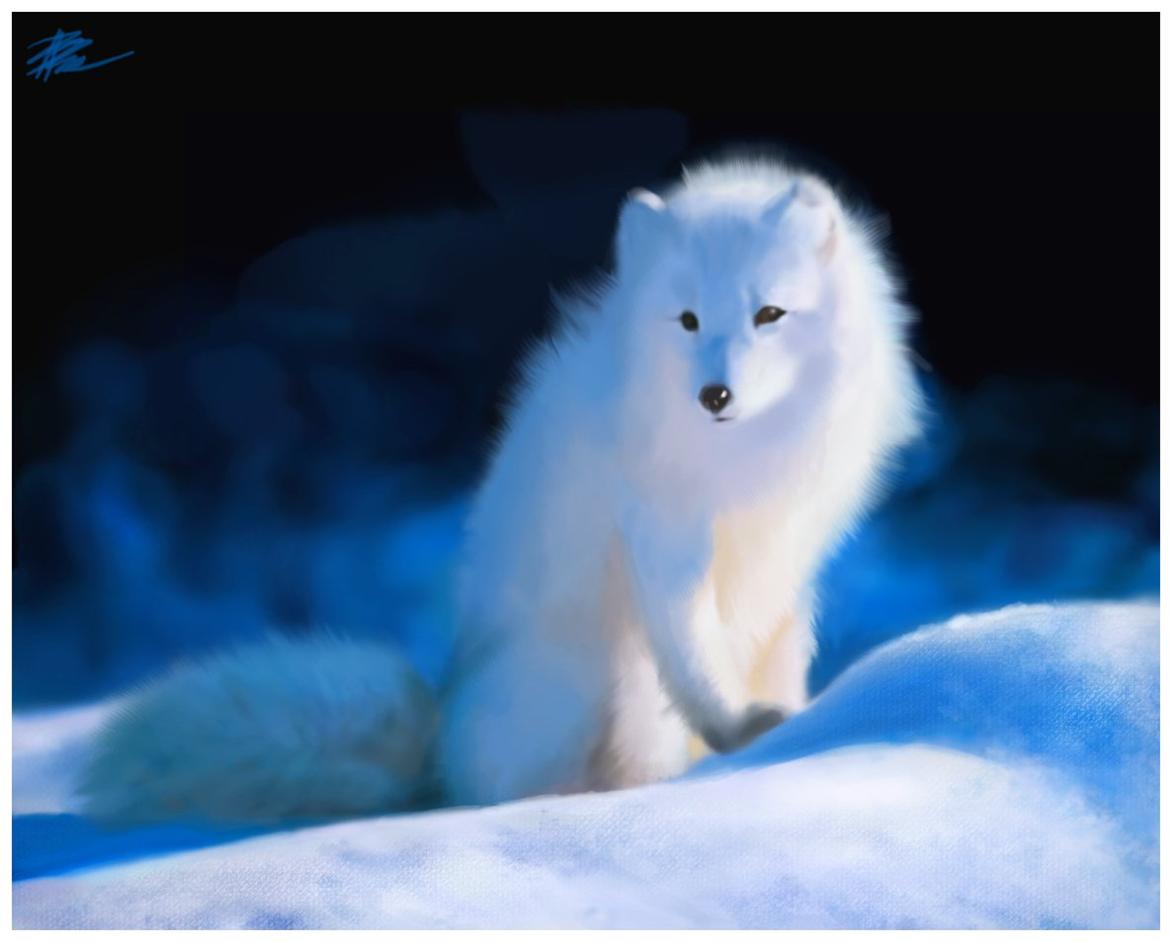 Mine dyretegninger - En øvelse i fluffy pels. Photoshop elements 02. billede 14