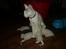 toves albino killinger :)