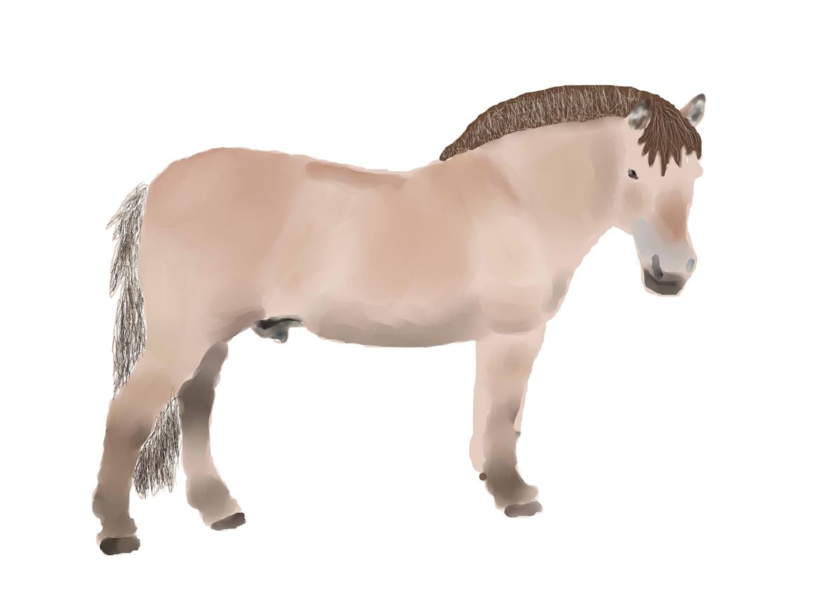Paint tool sai tegninger. - Min første tegning i Paint Tool Sai - 2 timer. 06.08 2012 billede 1