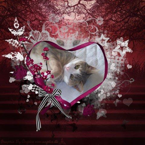 *Vibse & Missebanden* - Leger for hende! billede 12