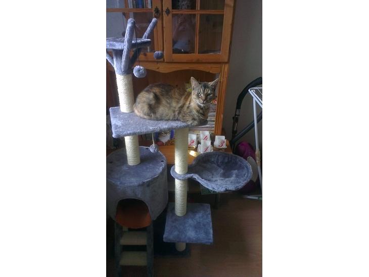 {{currentPhoto.altText}} billede {{currentPhoto.number}}