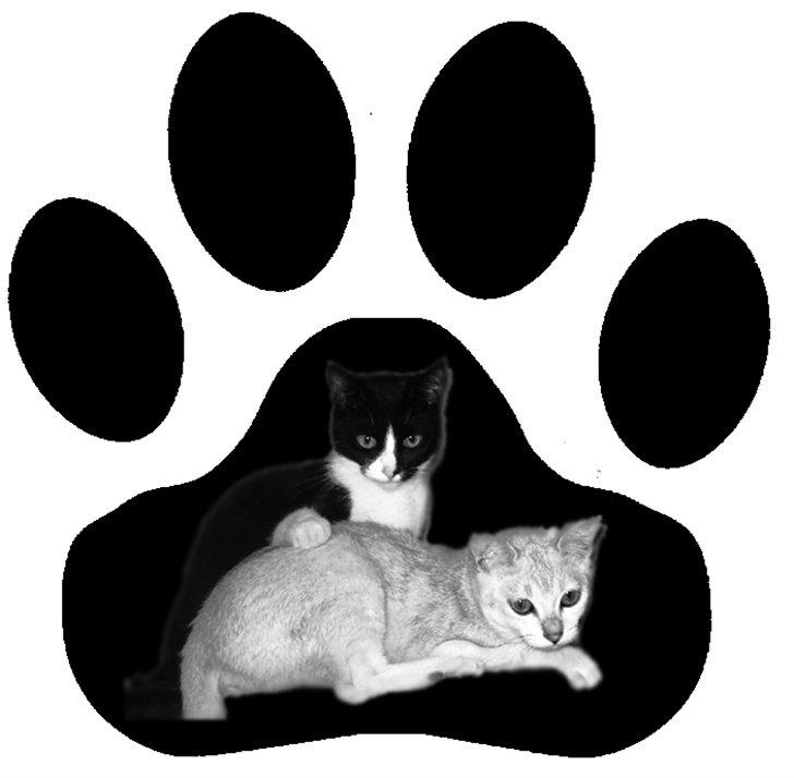 Avatar billeder - Kitty og Adela i pote. billede 8