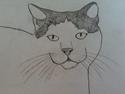 mine tegninger