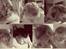 7 aby killinger! :)