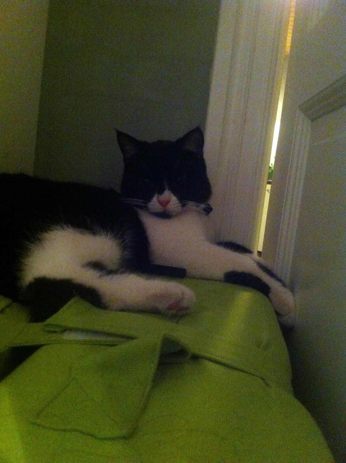 Du så cute:D billede 10