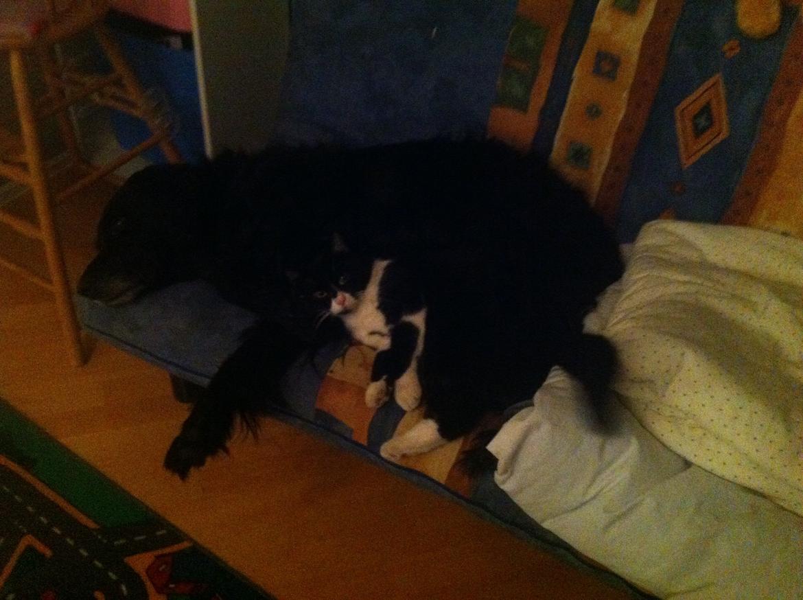 Du så cute:D billede 9