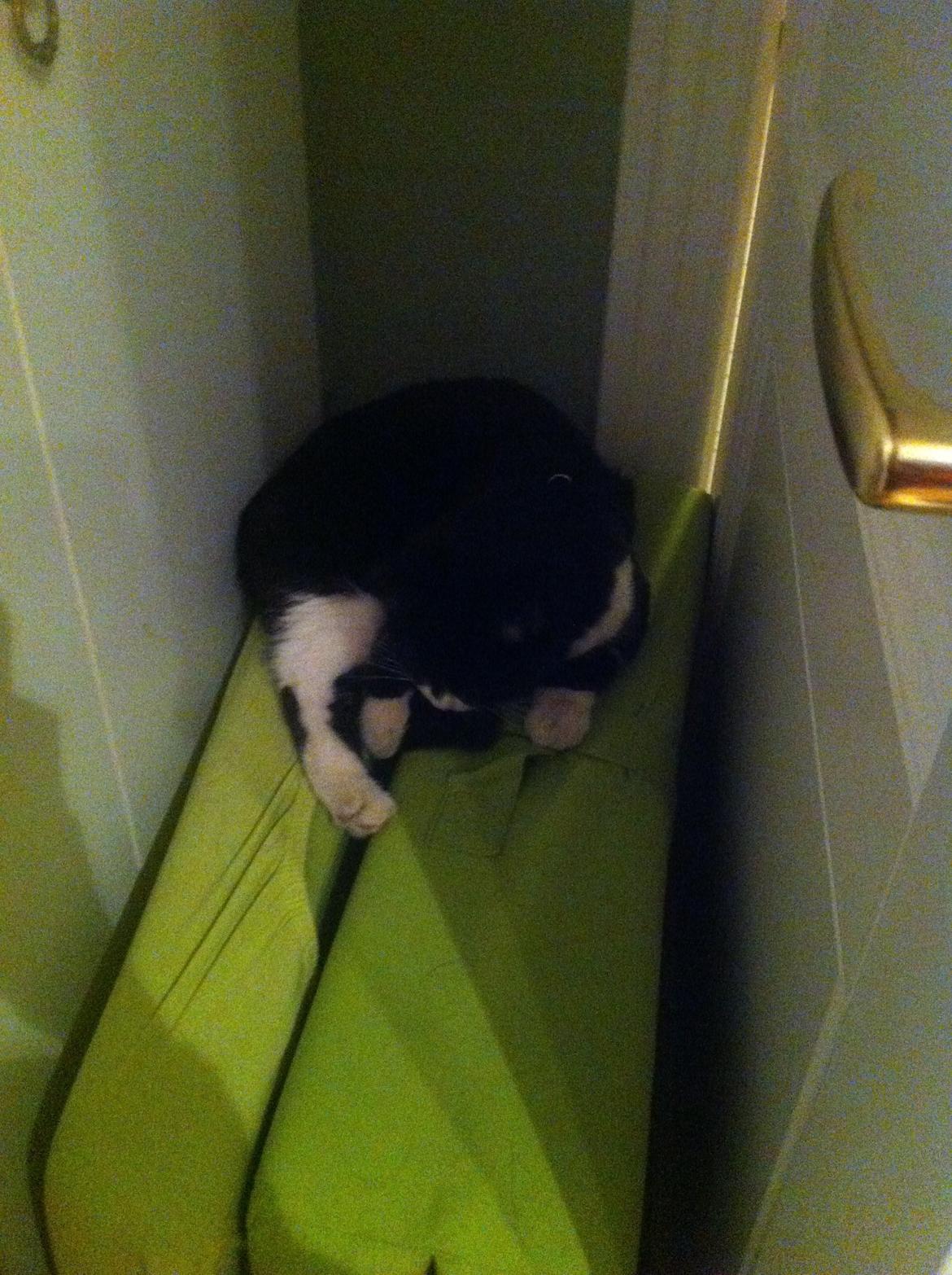 Du så cute:D billede 8