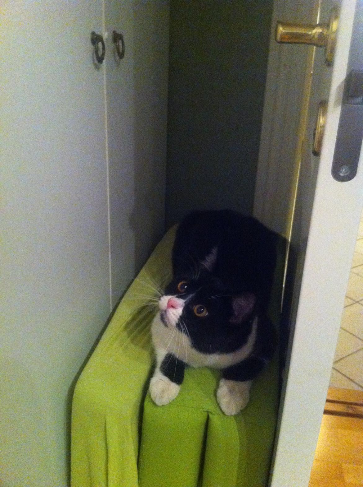 Du så cute:D billede 5