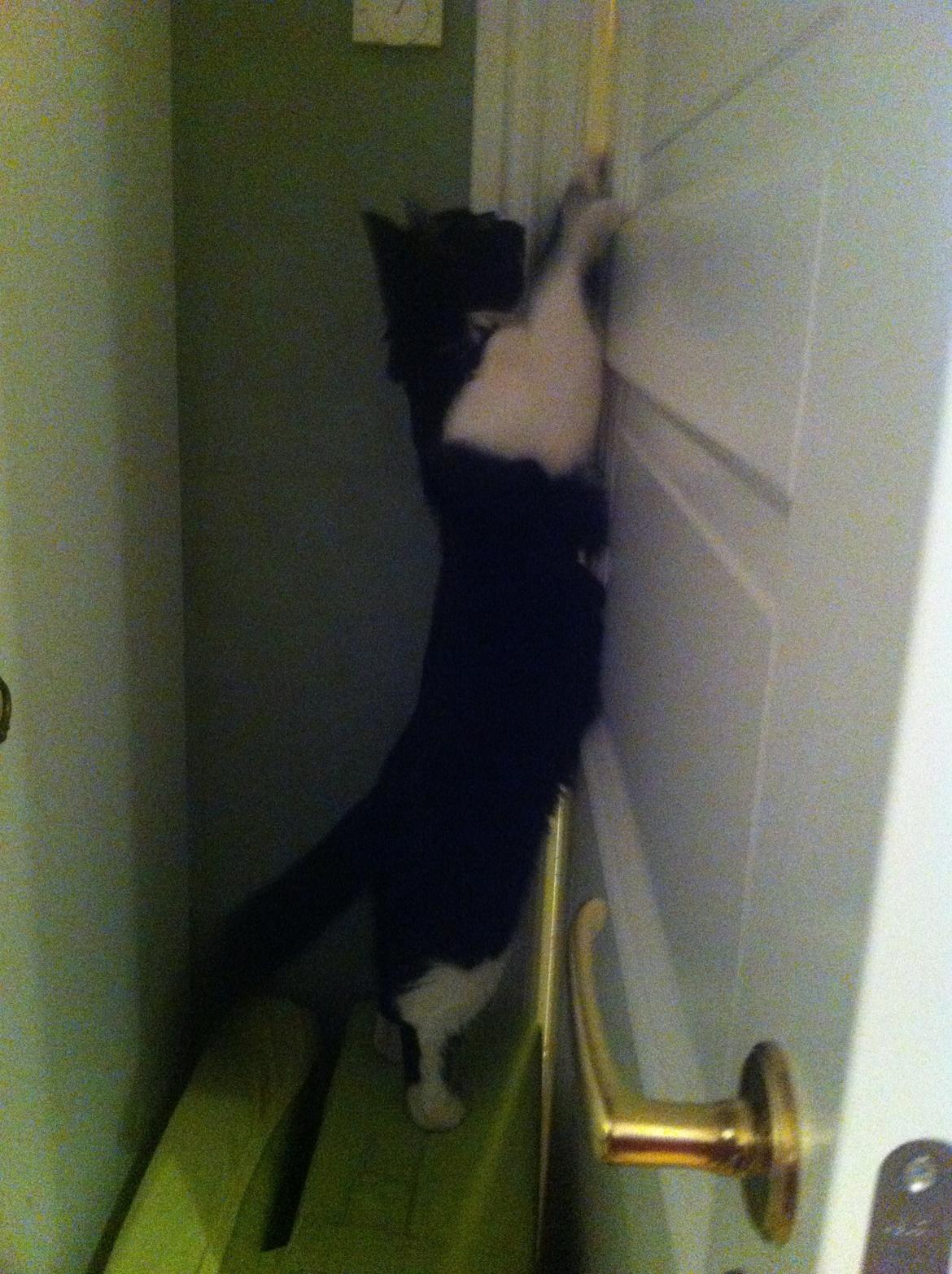 Du så cute:D billede 4