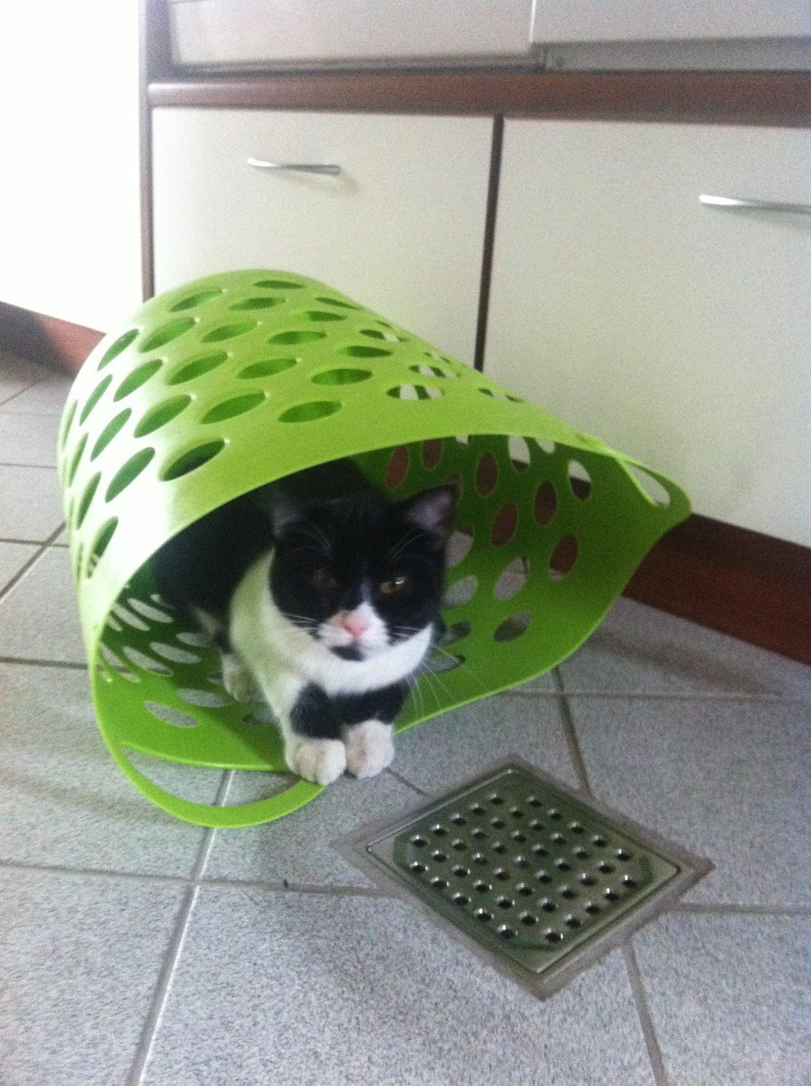 Du så cute:D billede 3