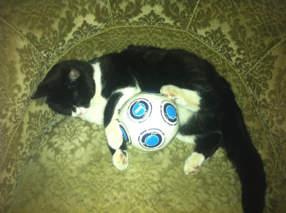 Du så cute:D billede 2