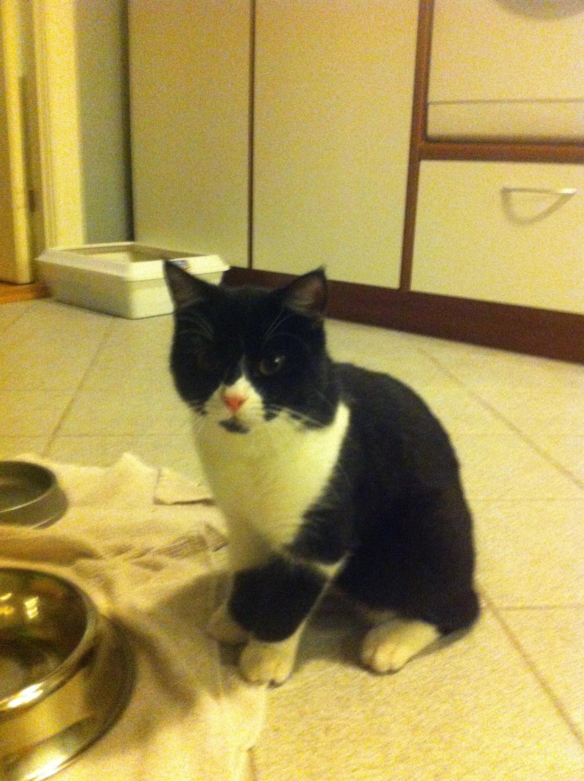 Du så cute:D billede 1