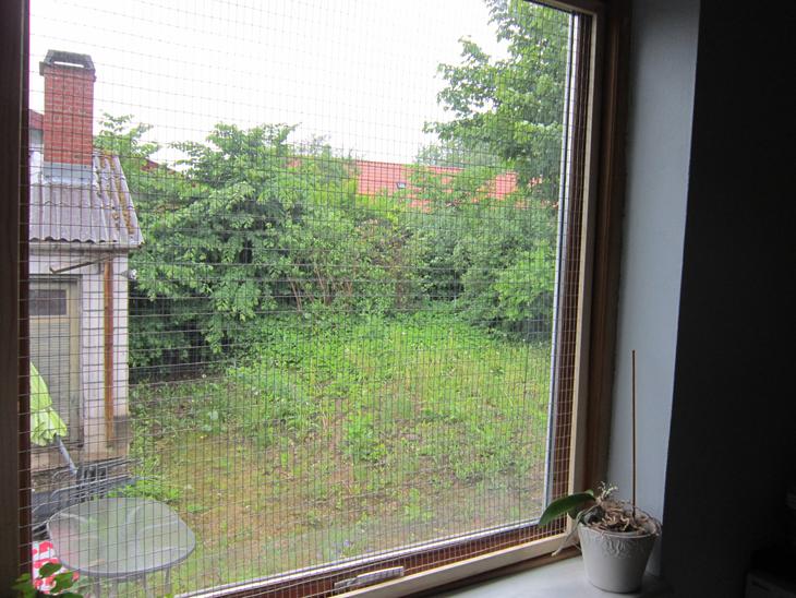 Kattesikre vinduer billede 0