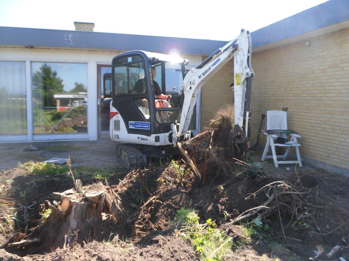 kattegård billede 7
