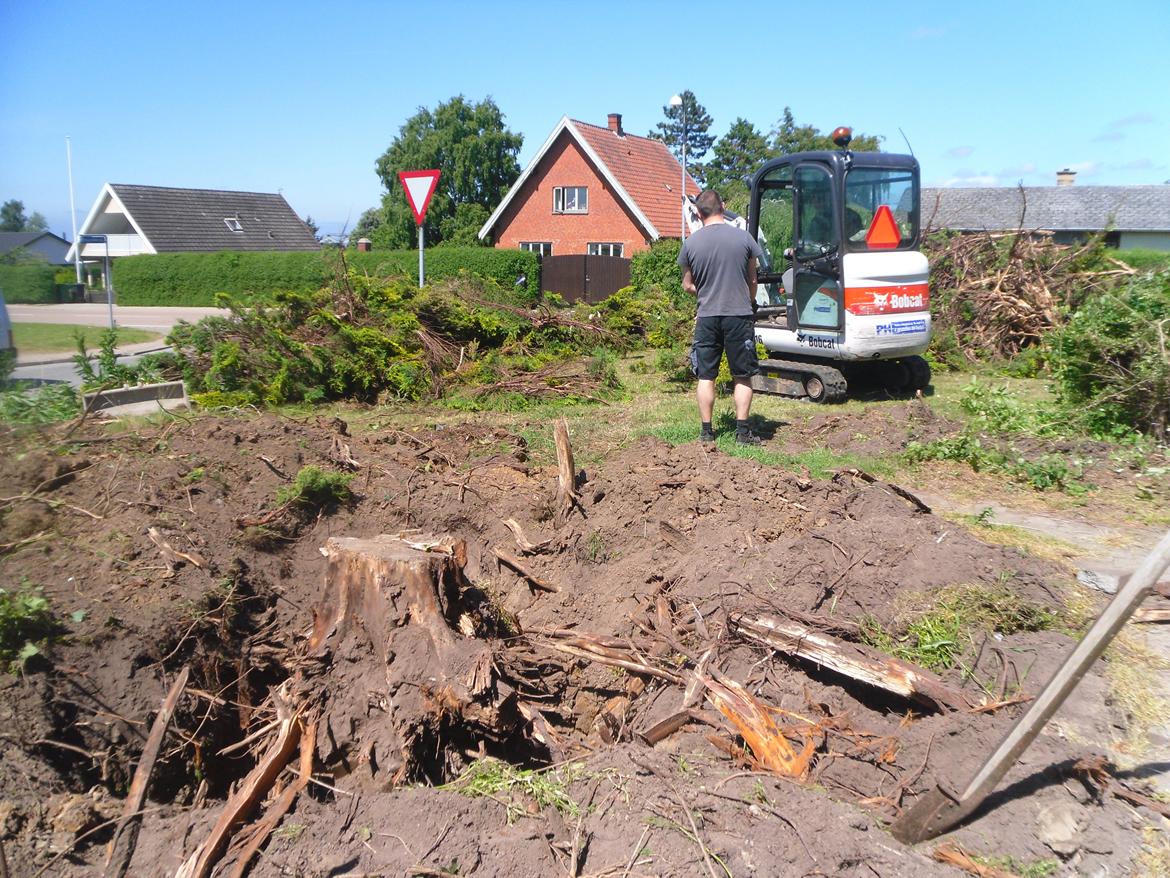 kattegård billede 13