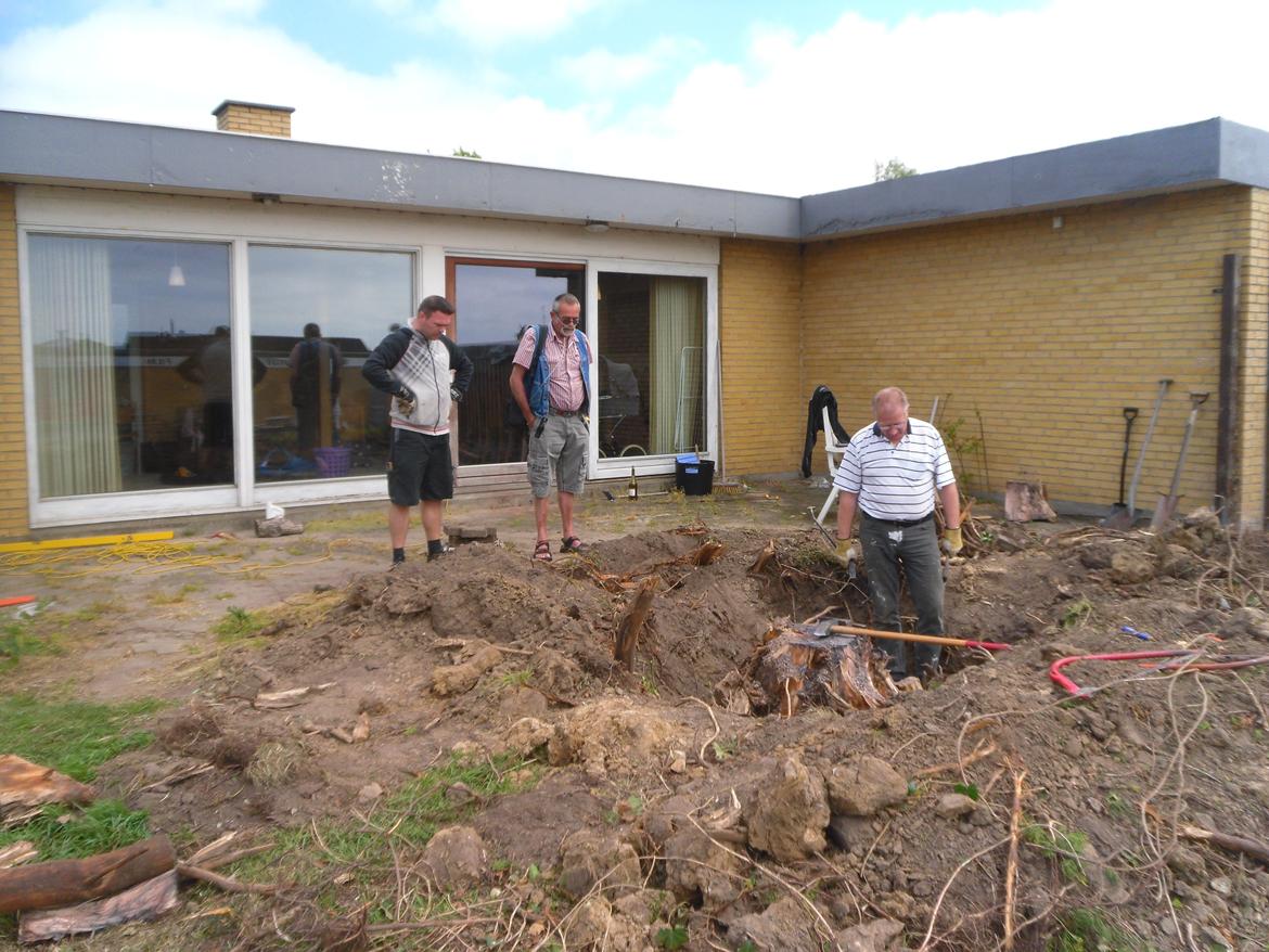 kattegård billede 16