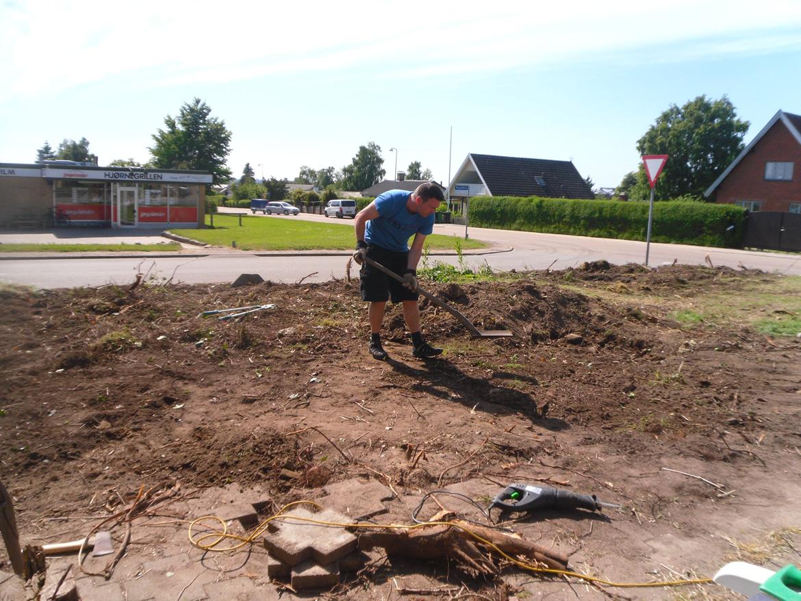 kattegård - Der lægges jord på igen billede 17