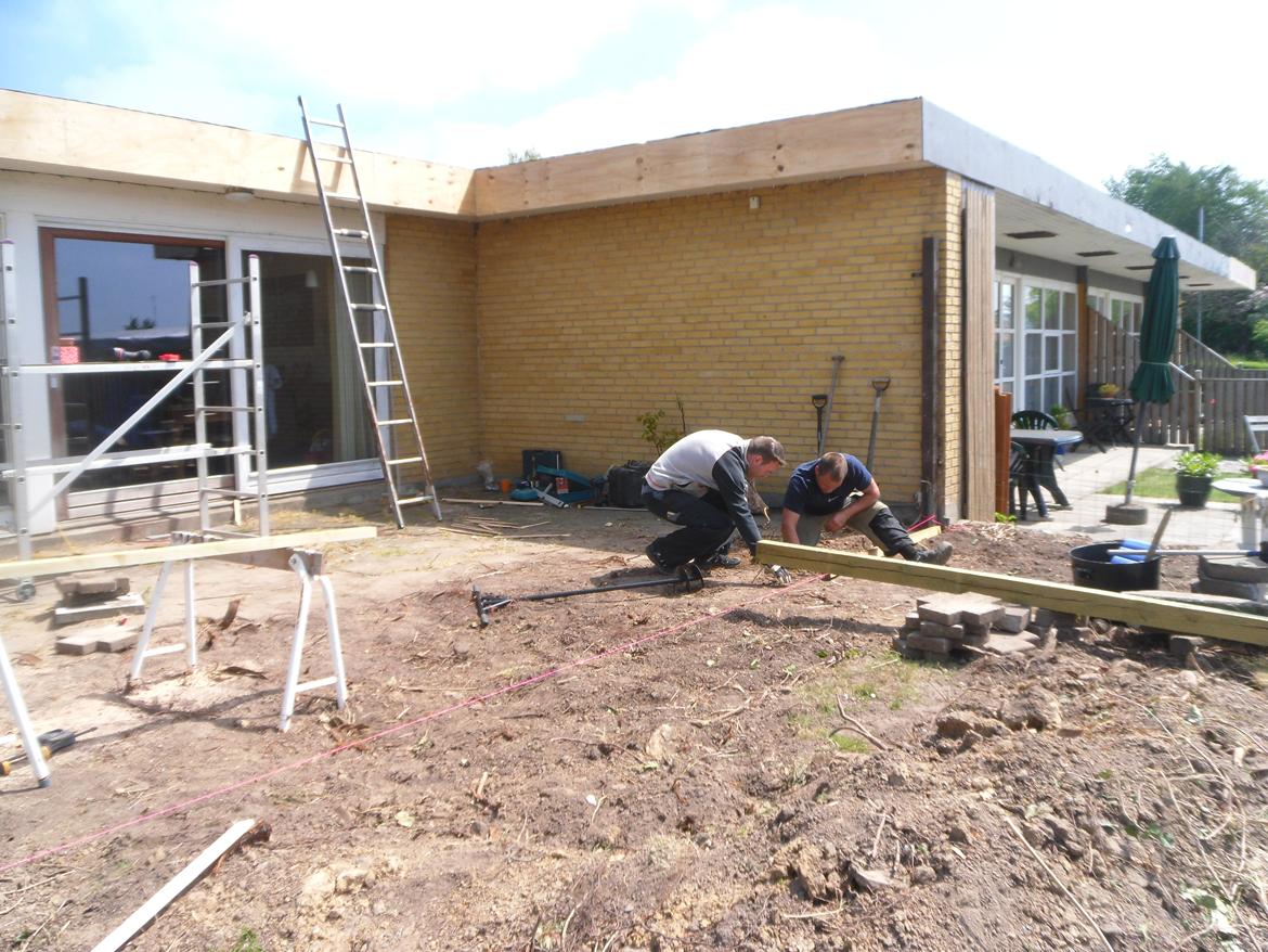 kattegård billede 20