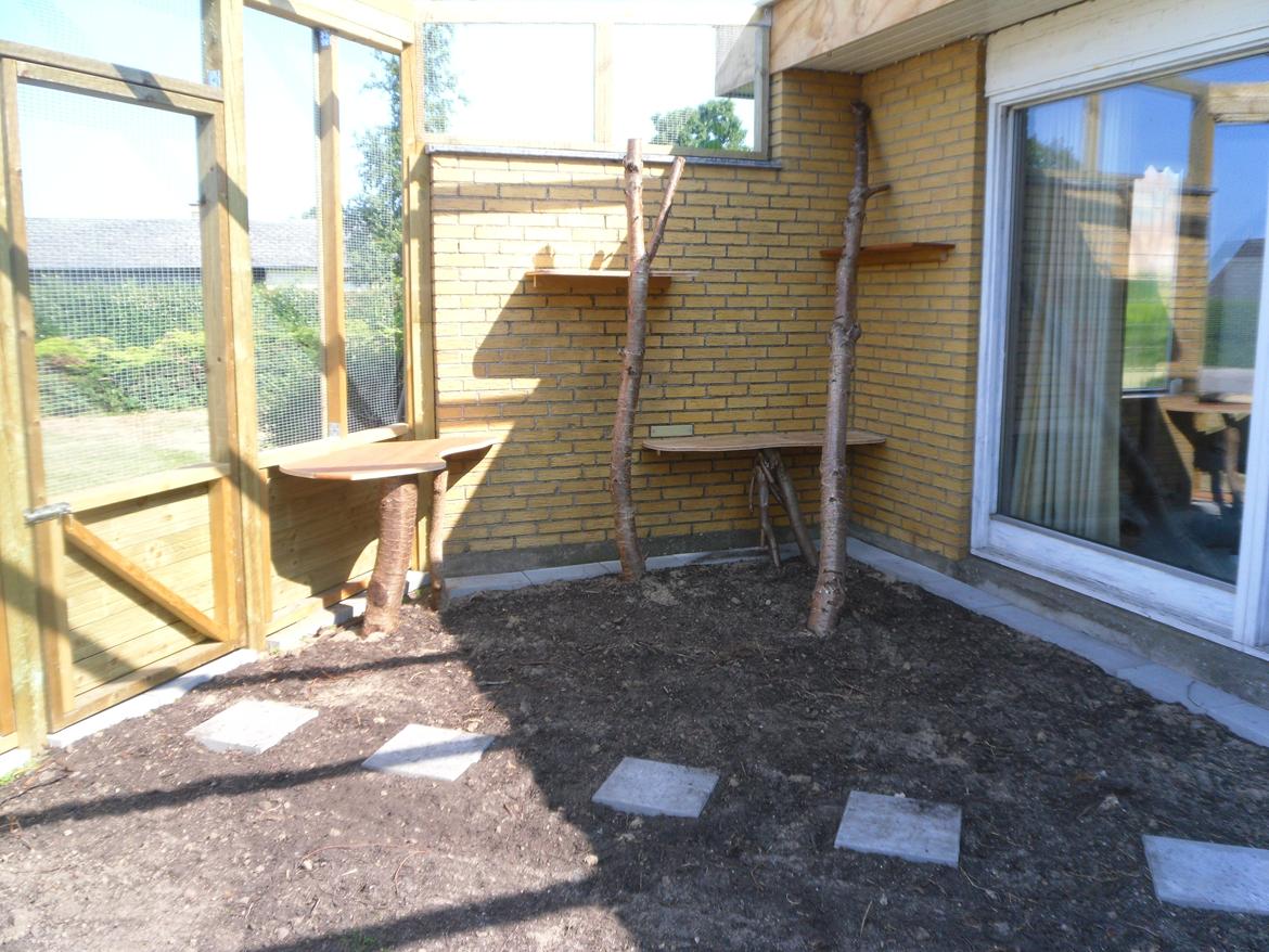 kattegård - Så fik vi sat nogen flere hylder op. billede 58