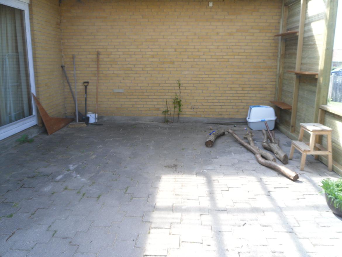 kattegård - Her skal stå bord, stole og så skal der laves noget kradsetræ. billede 59