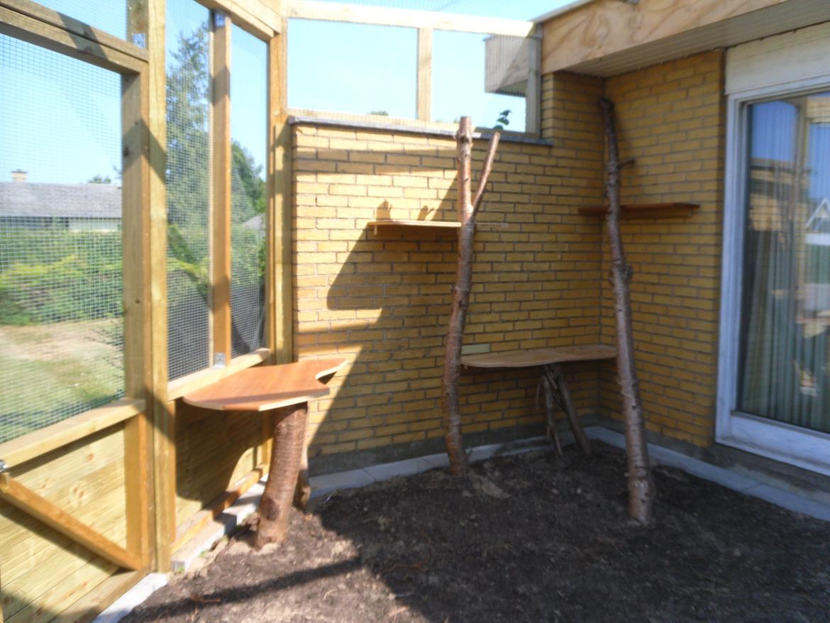 kattegård billede 62
