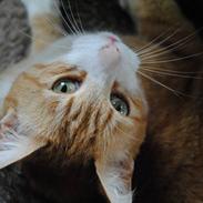 Min Kat! :D