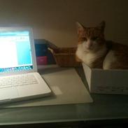 Min Kat! :D