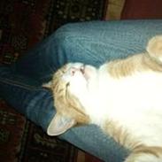 Min Kat! :D