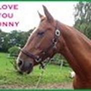 Alle mine elskede dyr<3 Og nogle af mine tegninger :D