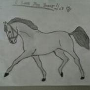 Alle mine elskede dyr<3 Og nogle af mine tegninger :D