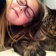 Mine søde katte/kilinger